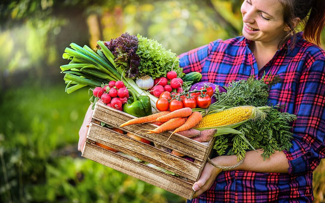 Warum Antioxidantien wichtig sind