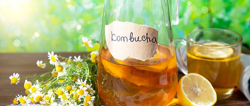 Kombucha selber machen: Rezept in 5 einfachen Schritten