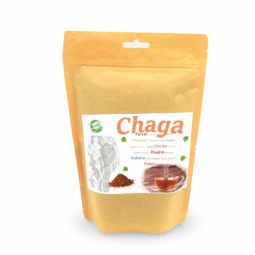 Chaga Pulver