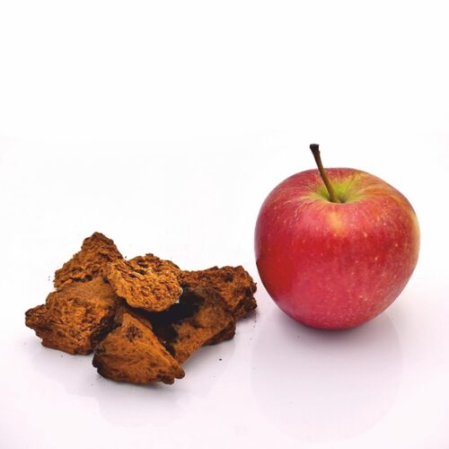 Chaga Pilz Brocken mit einem Apfel