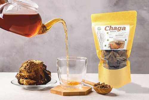 Chaga Tee mit Teekanne und Glas