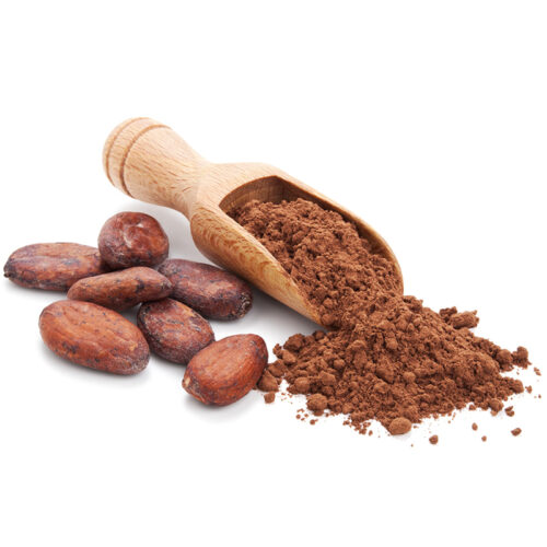 Criollo Kakao-Pulver und Kakaobohnen