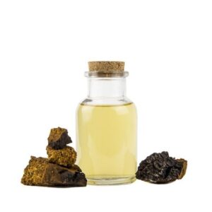 Chaga Tinktur mit Brocken