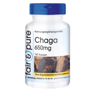 Chaga Kapseln Dose