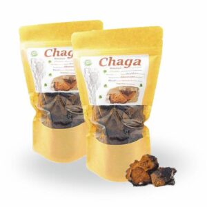 Chaga Pilz Vorteilsdeal