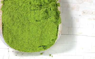 Moringa Inhaltsstoffe Wirkung: Die natürliche Wunderwaffe für dein Wohlbefinden!