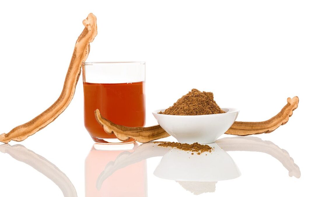 Reishi Tee: Eine Tasse voller Entspannung