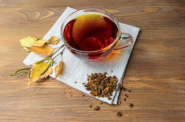 Chaga Pilz: 5 nützliche Tipps zum König der Vitalpilze