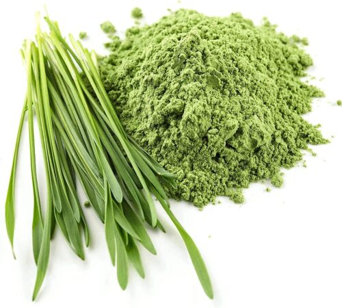 Bio Gerstengraspulver Sparvorrat – Bild 2