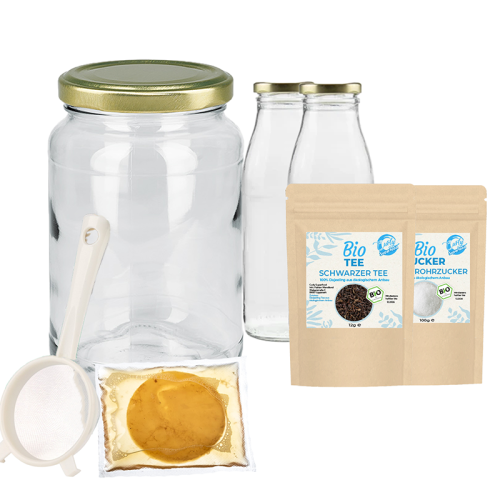 Kombucha Starter Set