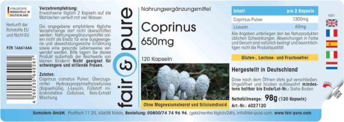 Coprinus Comatus Kapseln | 650mg 120 Stück – Bild 2