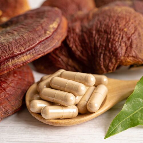Reishi Kapseln