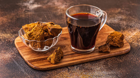 Chaga Tee Zubereitung