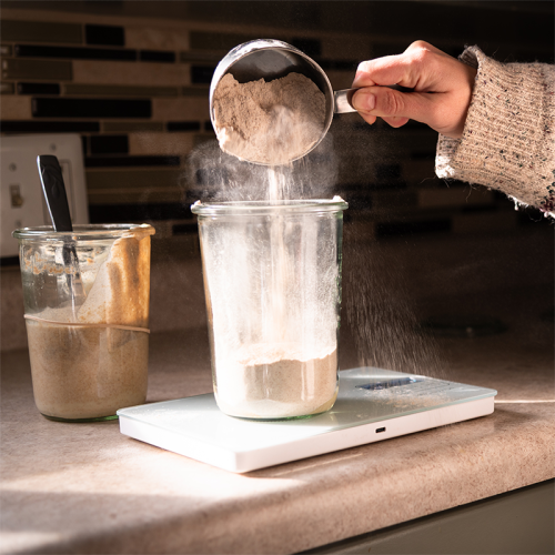 frischen Sauerteig im Glas zubereiten